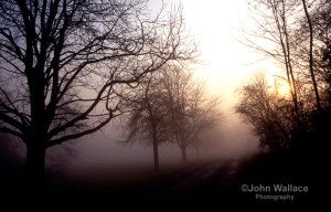 Misty morning in England