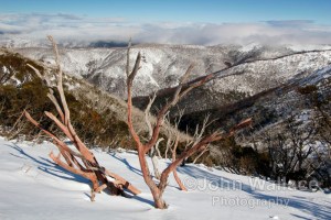 Snow on the mountainside in Victoria